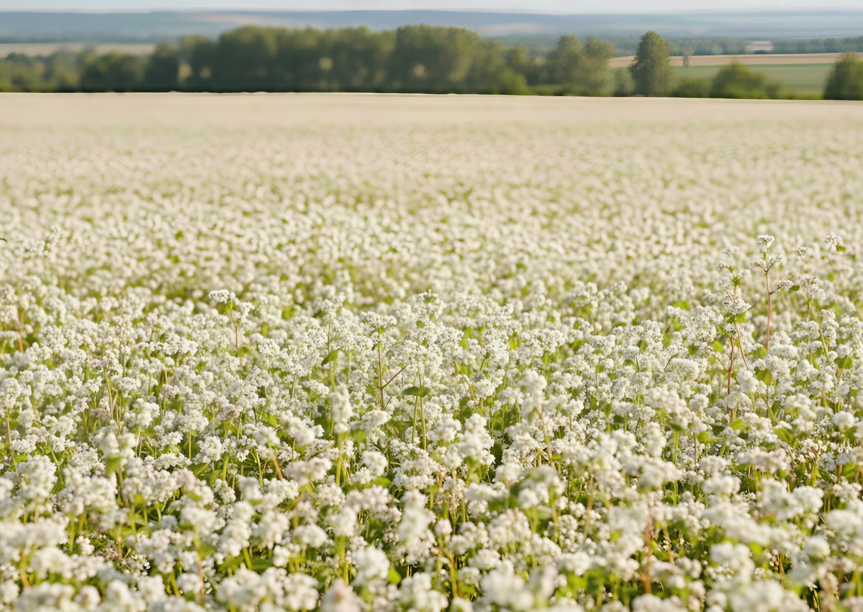 Smörgåstårta eller fikabord